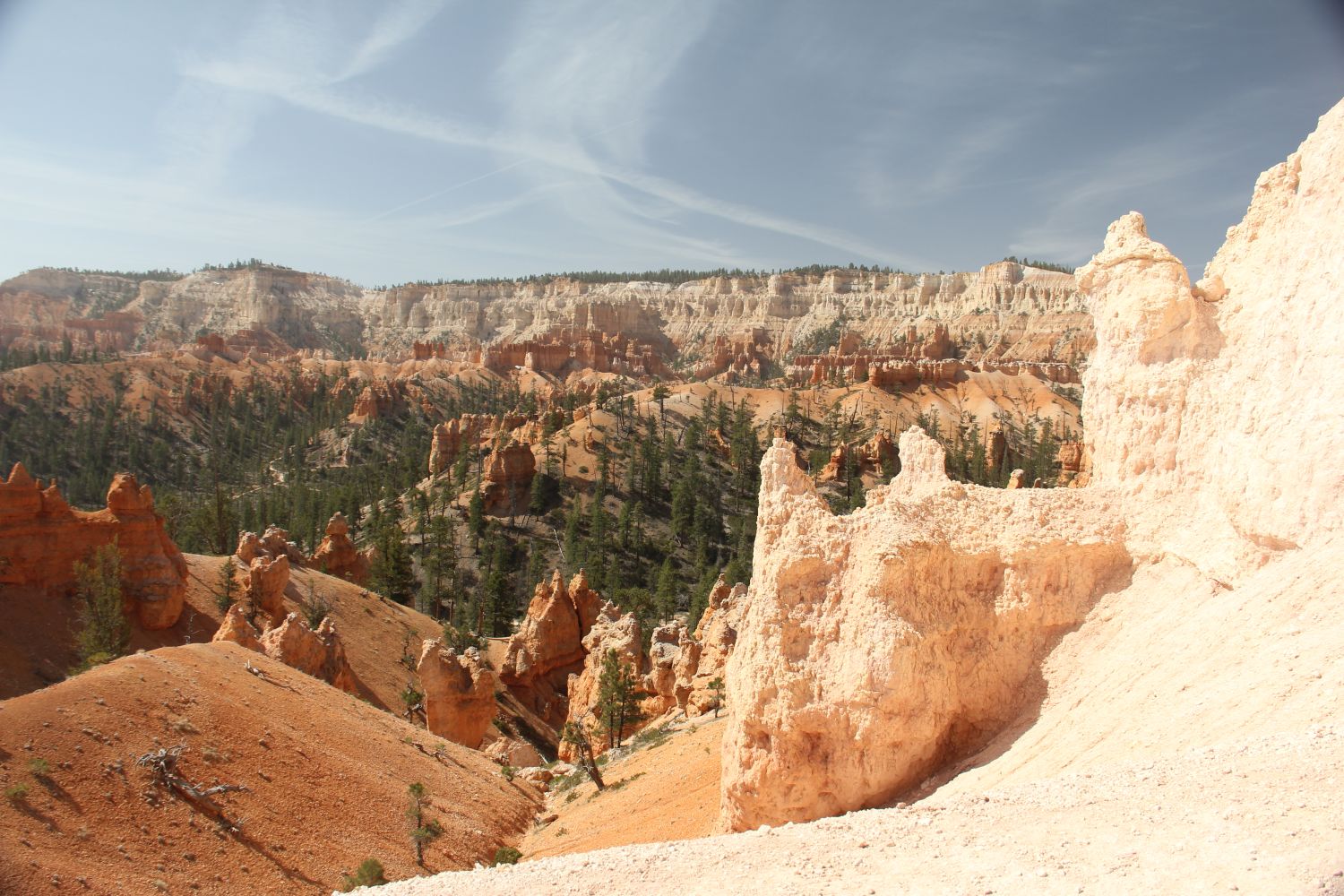 Queens/Navajo 